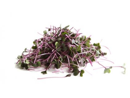 redcabbage 1 600x600