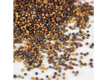 9f17a4b9 2d13 49e4 ae2c a8a7c531bcb5 1.751a47fd9688794aca816c785776a568