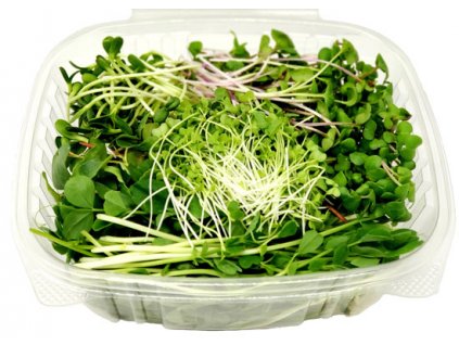 microgreen salad mix w lid open 550