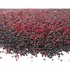 red amaranth seed 250x250