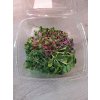 Microgreens saláty mixované