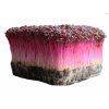 amaranth