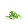 pea2