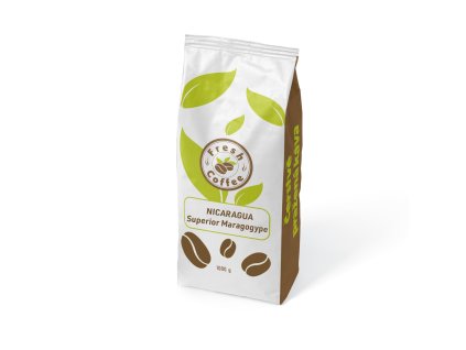 NICARAGUA Superior Maragogype