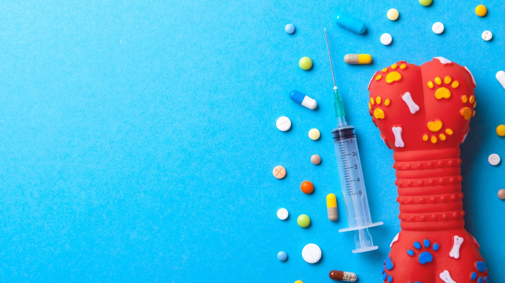 Jaké očkování potřebuje můj pes a proč?