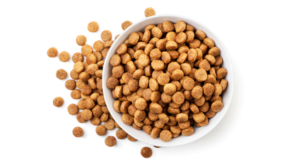 Nejlepší diety pro psy pro zdravou hmotnost a vitalitu.