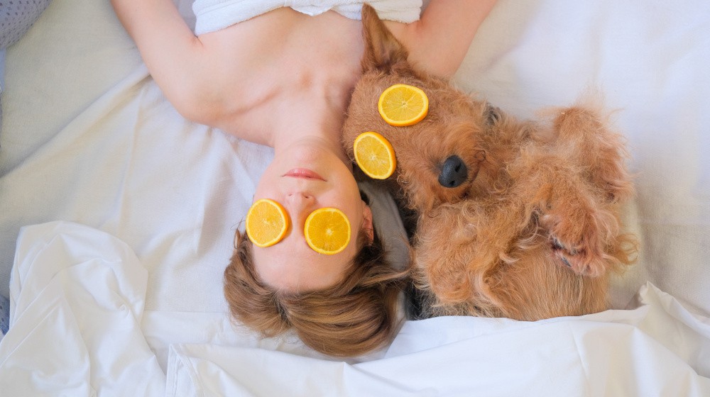 Proč je vitamin C tak důležitý pro zdraví vašeho psa?