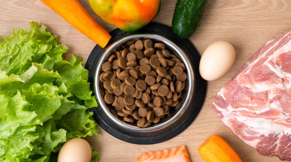 Psi a vitamíny B: proč jsou tak důležité a jak je psům podávat?