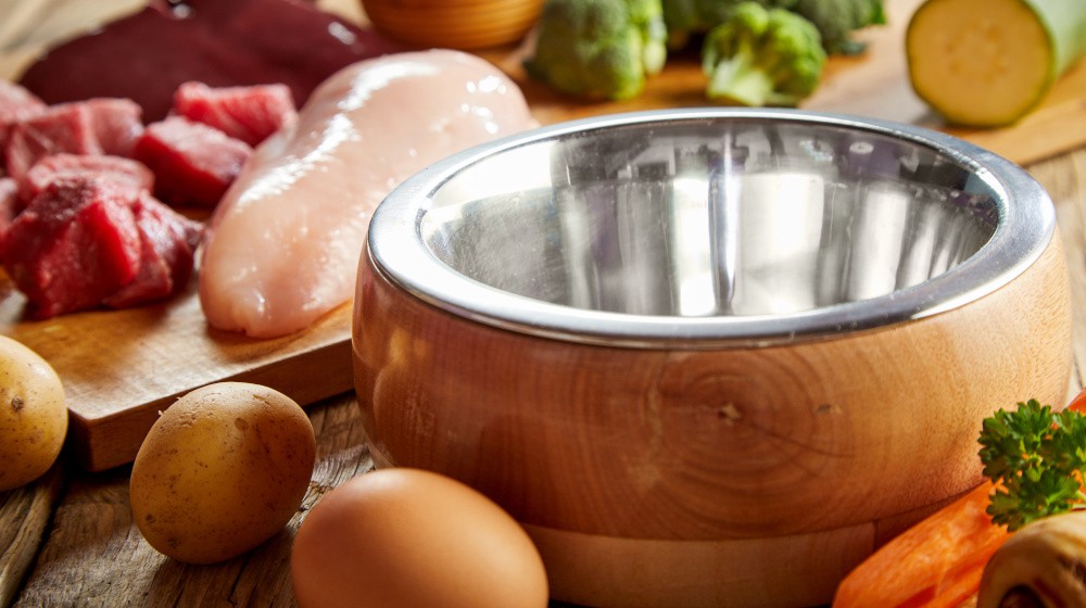 Psi a vitamíny: Mýty a fakta, které byste měli vědět.