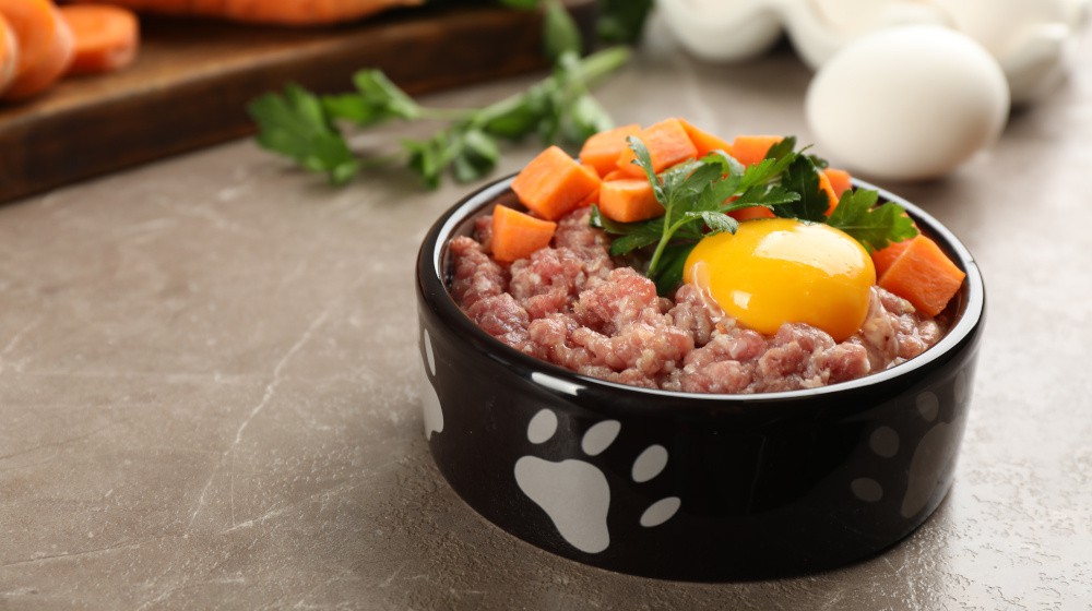 Výhody a nevýhody krmení psů surovou stravou.