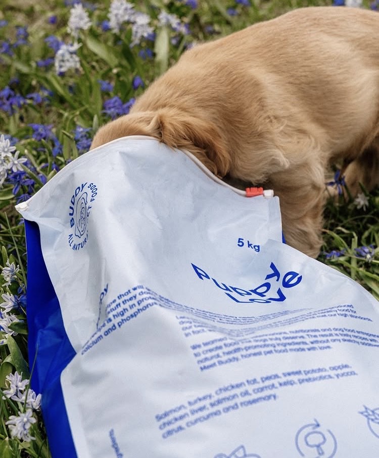 Prečo by ste si mali vybrať krmivo pre šteniatka bez obilnín ?