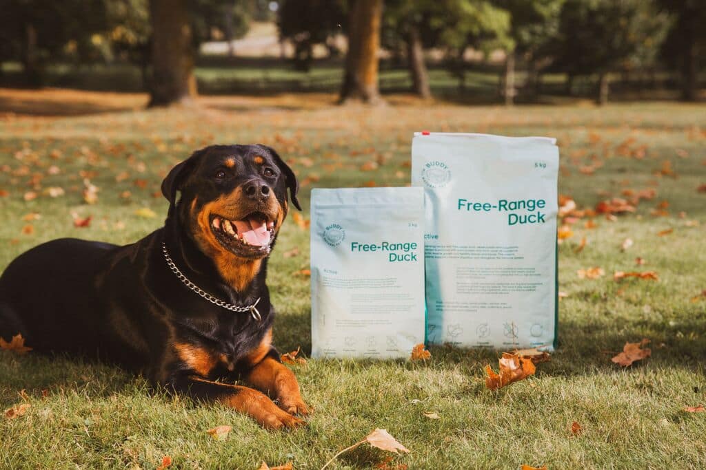 Prečo krmivo bez obilnín ?