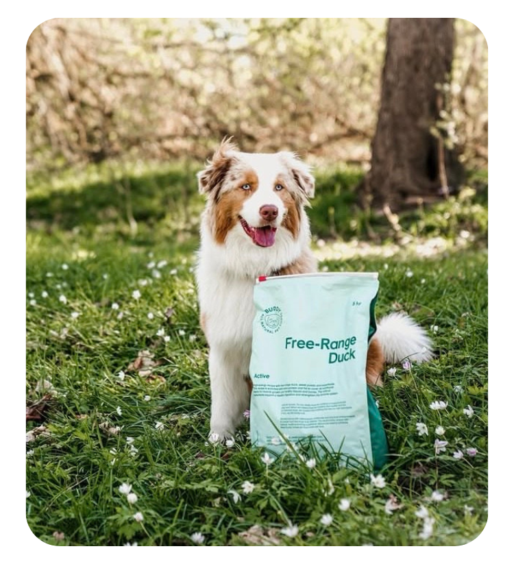 Jedlo, ktoré robí rozdiel