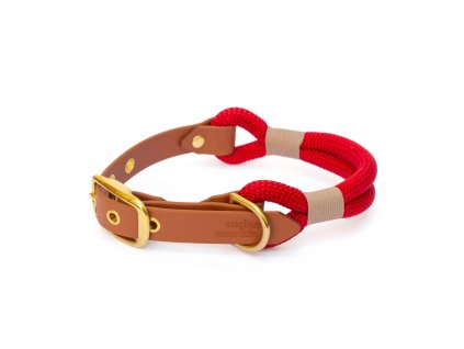 collier corde chien rouge