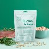duckalicious 1024x1024
