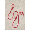 laisse corde chien rouge argent