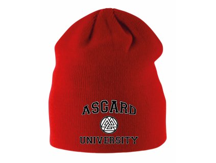 Dětská zimní čepice Thor Asgard univerzita