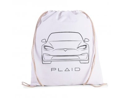 vak Model S Plaid