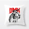 polstar DMX