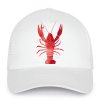 Kšiltovka trucker Lobster