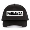 Kšiltovka trucker Wakanda