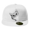 Snapback Zvedavá mačička