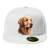 Snapback Zlatý retriever