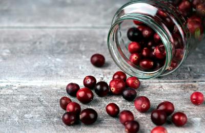 prirodni_antibiotika_brusinky_freshioo_blog