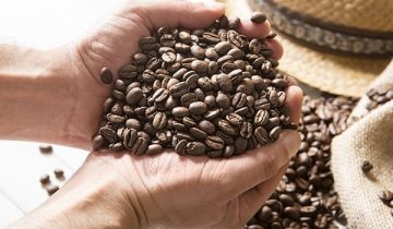 KVALITETA MJEŠAVINA VRSTA KAVA