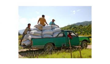 OBRADA KAVE, SKLADIŠTENJE i PRIPREMA ZA PRŽENJE