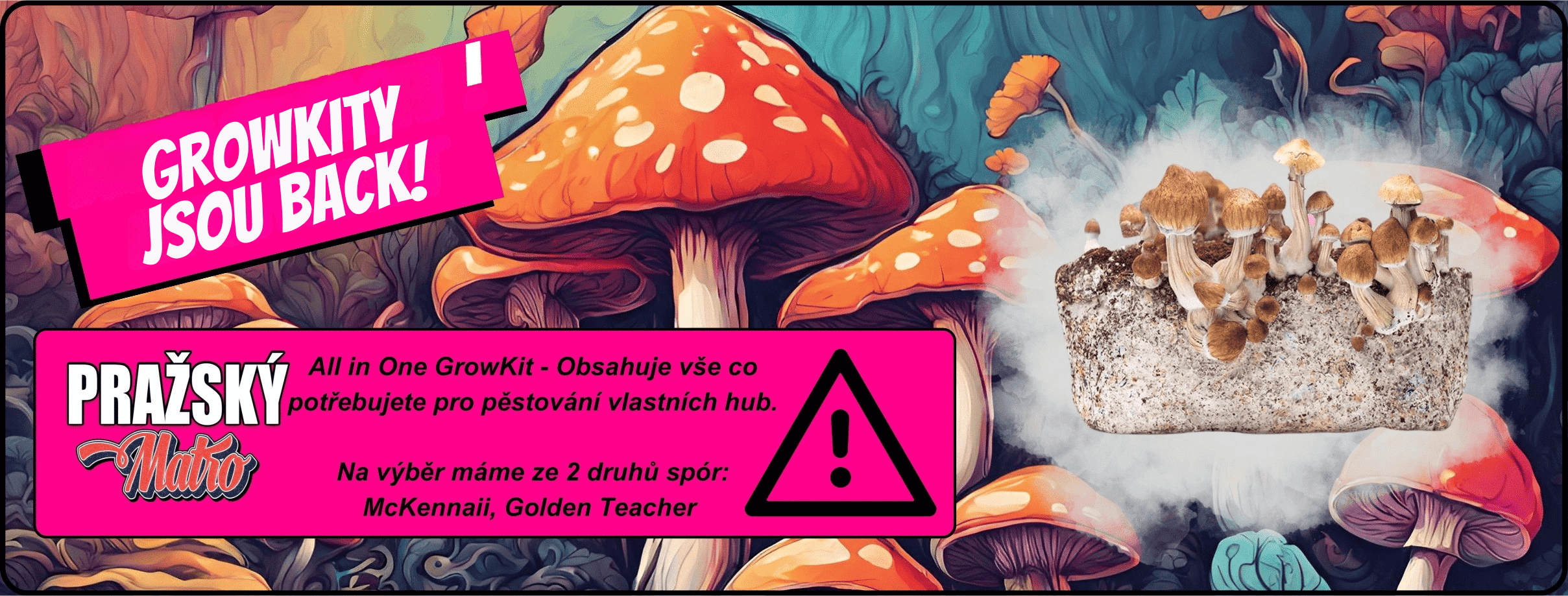Shroomies na FreshPrince.cz