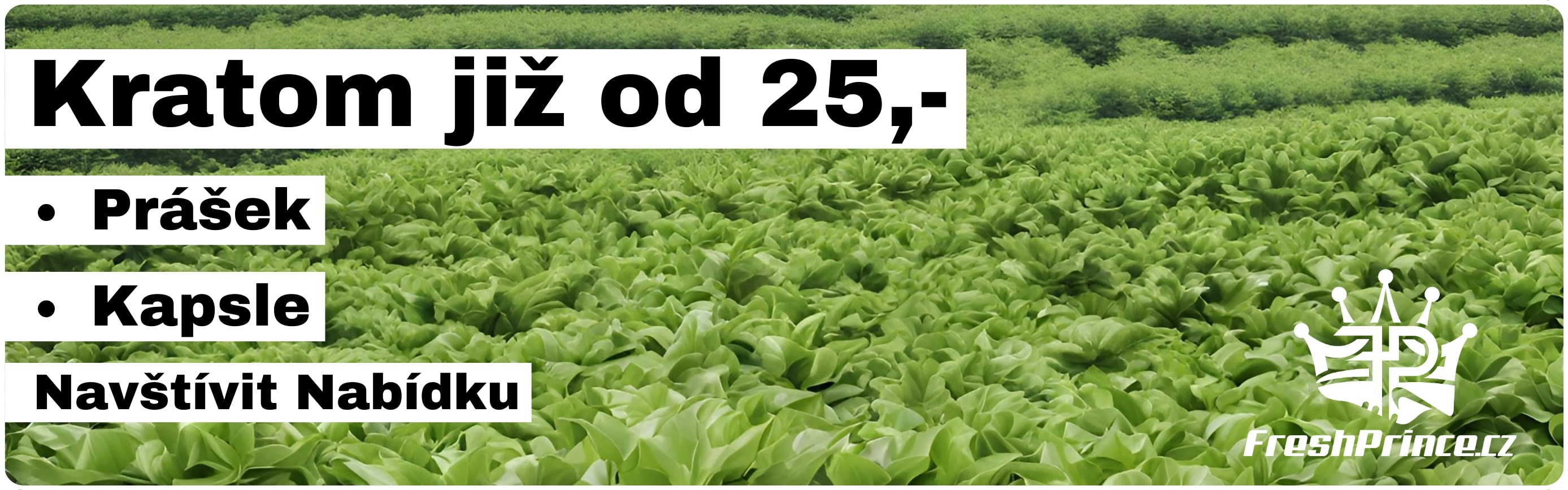 Nejlevnější Kratom