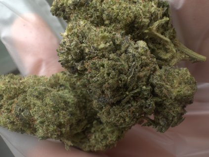 THC-FP Cali Extreme Strong !