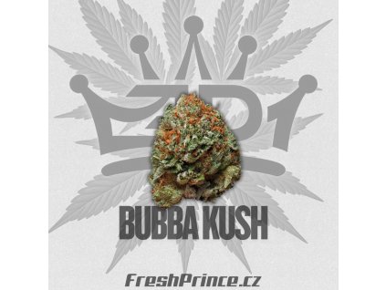 bubbakush