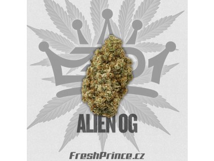 alien og