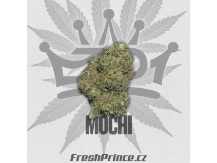 mochi