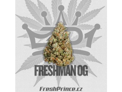 freshman og