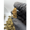 CBD-FP Indoor Purple Diesel