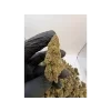 CBD-FP Indoor Gorila Glue