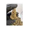 CBD-FP Indoor Gorila Glue