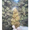 THC-FP Indoor Gorila Glue