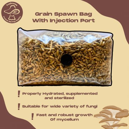 Grain Spawn Bag With Injection Port - Organic Rye Berry Grain, Properly Hydrated, Supplemented and Sterilized -  Mushroom Grow Bag
