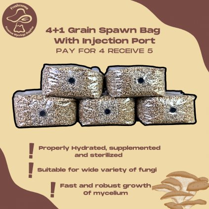 4+1 Grain Spawn Bag With Injection Port - Organic Rye Berry, Properly Hydrated, Supplemented and Sterilized - Mushroom Grow Bag