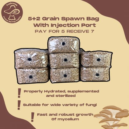 5+2 Grain Spawn Bag With Injection Port - Organic Rye Berry, Properly Hydrated, Supplemented and Sterilized - Mushroom Grow Bag