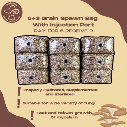 6+3 Grain Spawn Bag With Injection Port - Organic Rye Berry, Properly Hydrated, Supplemented and Sterilized - Mushroom Grow Bag