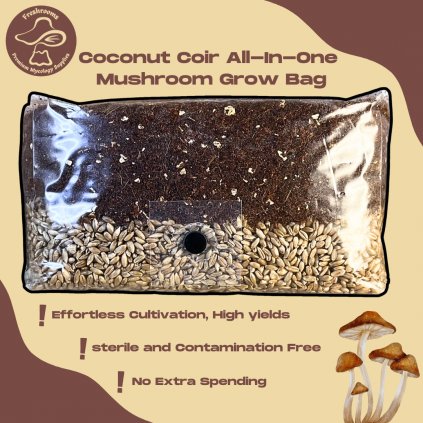 All-In-One Coconut Coir Mushroom Grow Kit With Injection Port -Coconut Coir Substrate + Organic Rye Berry Grain