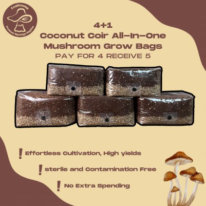 4+1 All-In-One Coconut Coir Mushroom Grow Kit With Injection Port -Coconut Coir Substrate + Organic Rye Berry Grain