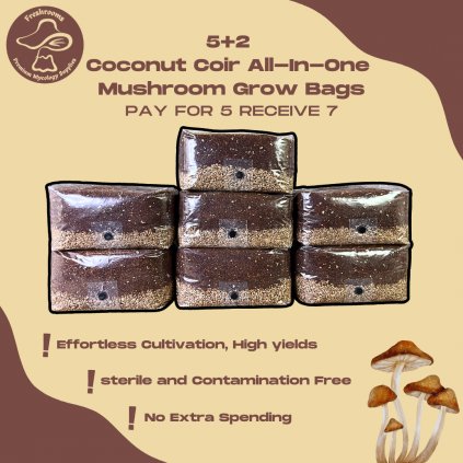 5+2 All-In-One Coconut Coir Mushroom Grow Kit With Injection Port -Coconut Coir Substrate + Organic Rye Berry Grain