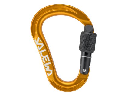 Carabiner Salewa Ortles HMS S