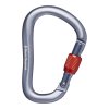 Black Diamond Rocklok Screwgate Carabiner